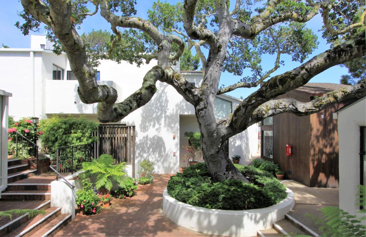 Lobos Lodge Carmel-by-the-Sea ภายนอก รูปภาพ